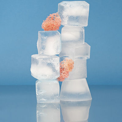 맞춤형 스타일 1820W 220V 블록 아이스 메이커와 보증 320Kg/24Hours 출력