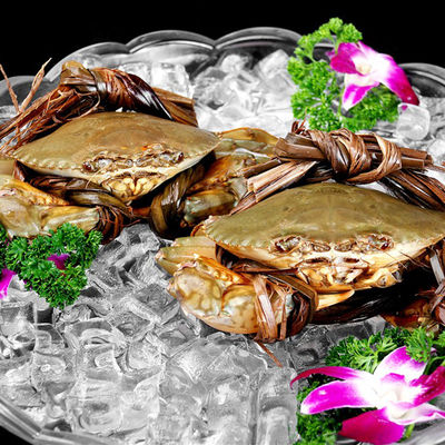 호텔 뷔페 아이스큐브 제조 기계 R22 냉장료와 300kg/24h 용량